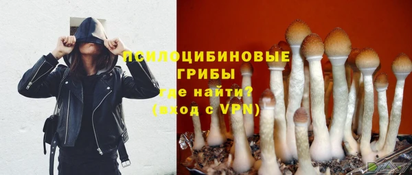 ПСИЛОЦИБИНОВЫЕ ГРИБЫ Верея