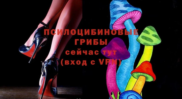 ПСИЛОЦИБИНОВЫЕ ГРИБЫ Верея