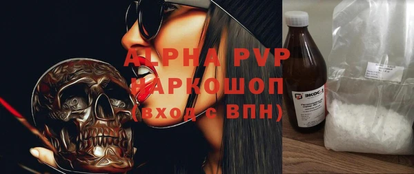 ПСИЛОЦИБИНОВЫЕ ГРИБЫ Верея