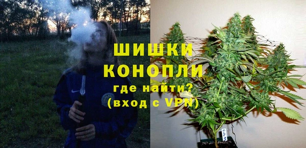 ПСИЛОЦИБИНОВЫЕ ГРИБЫ Верея