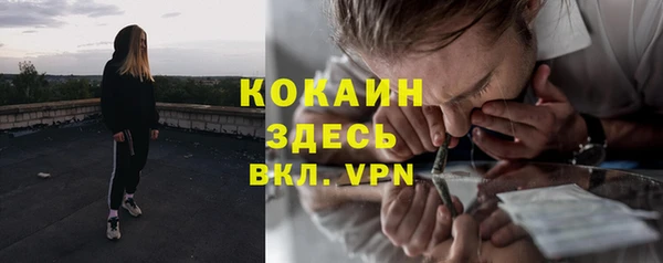 крисы Верхний Тагил
