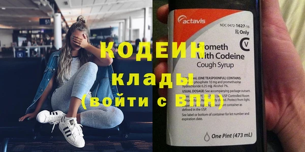 ПСИЛОЦИБИНОВЫЕ ГРИБЫ Верея