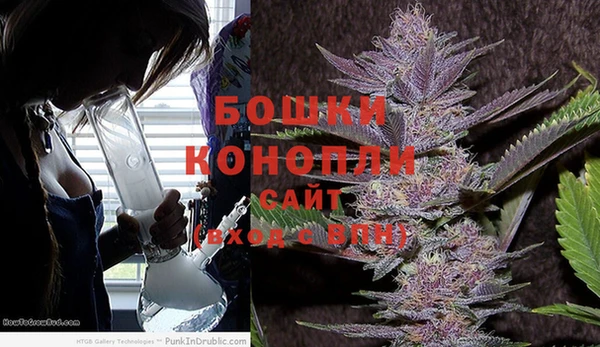 крисы Верхний Тагил