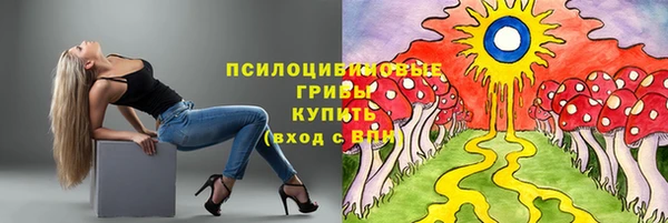 крисы Верхний Тагил